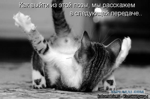 С собакой что-то не так