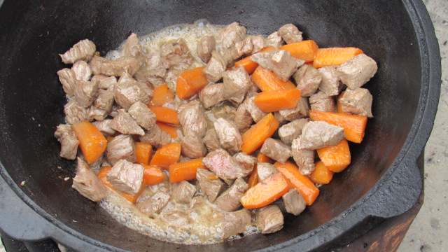 Шурпа обыкновенная, на природе