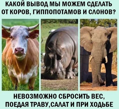 Воскресная фотоподборка