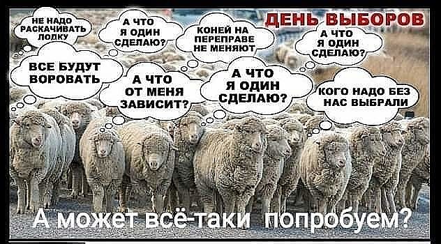 Госдума отклонила законопроект об отмене транспортного налога