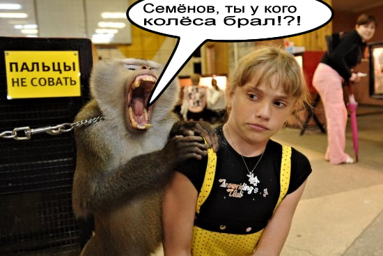 Фотожаба: Не совать!