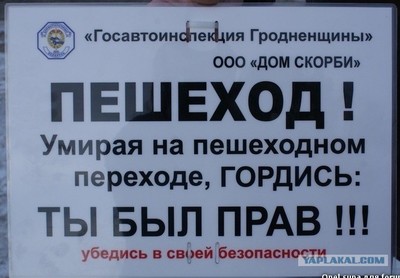 Сам хозяин своей жизни
