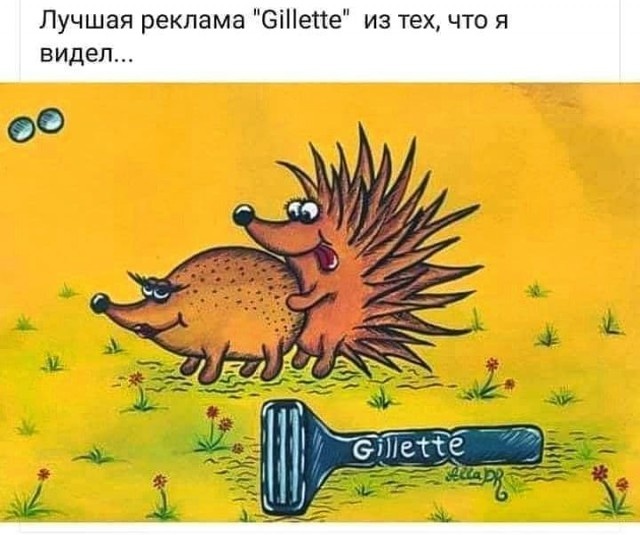 Юмор в картинках 22.11.2020