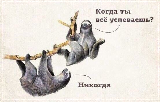 Юмор и прикольные картинки 04.12.2020
