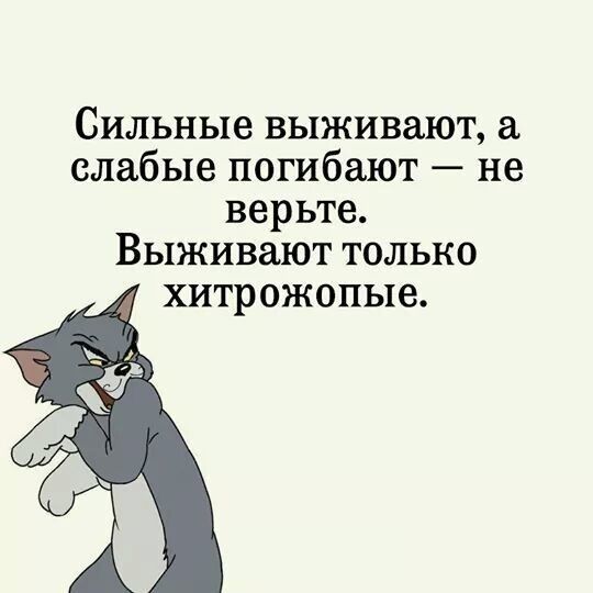 Картинки разные
