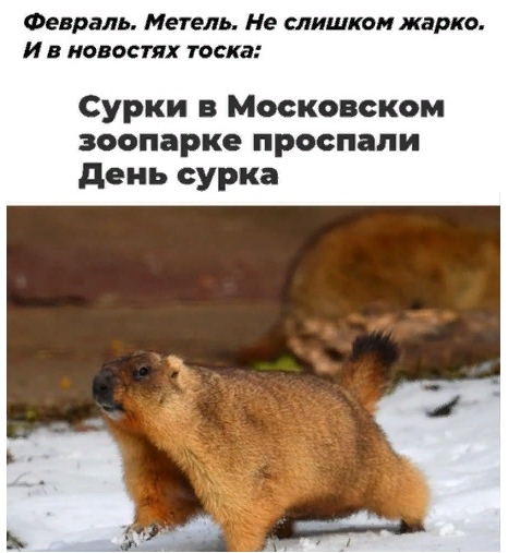 Весёлый полтишок 20.03