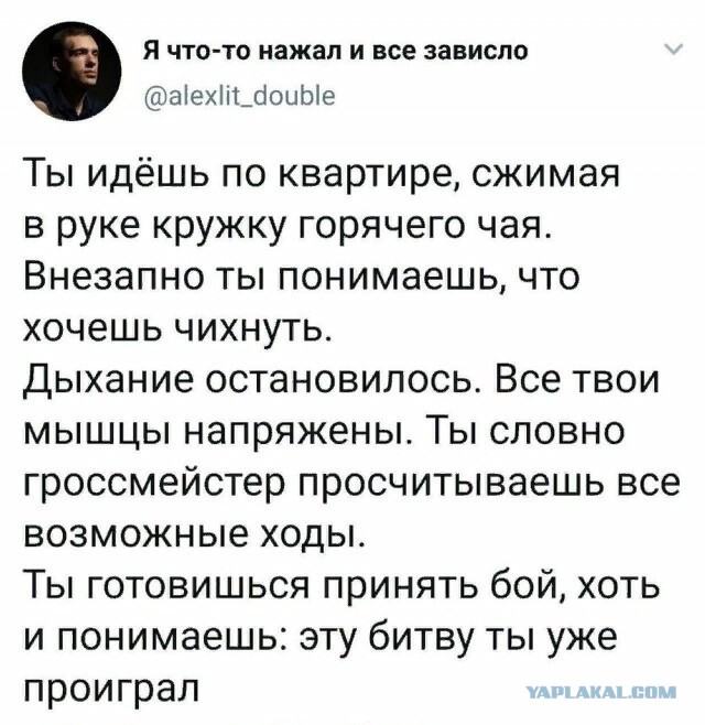 Фотки и картинки: юморные и красивые, забавные и милые 20.04.21