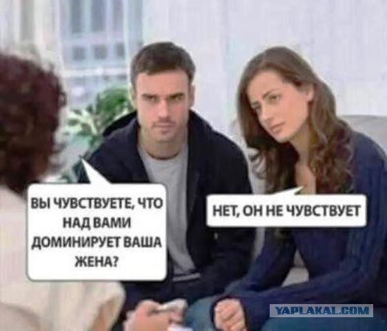 Всяческие картинки