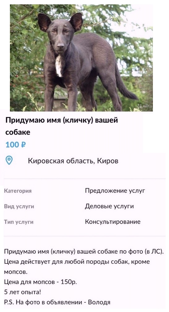 Так себе картинки 28.08.21