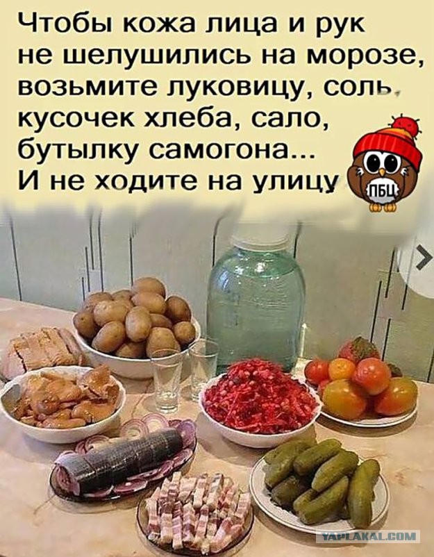 Всяческие картинки 17.11.2021