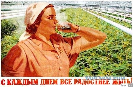 «Гнида, прививайся от ковида»: Мособлштаб таким образом призвал жителей к вакцинации