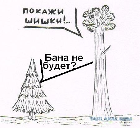 Елка с ЯПа