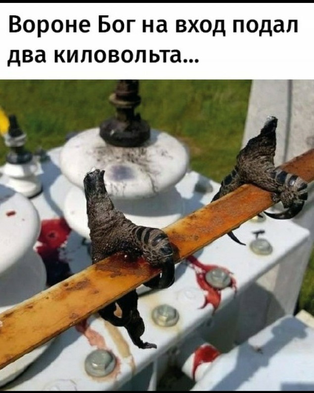 Немного фото
