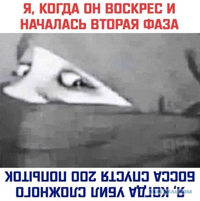 Картинки и мемы, всем хороших выходных