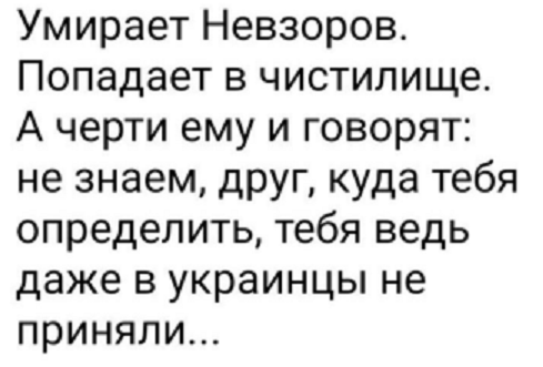 Невзоров рад такому жёсткому приёму.