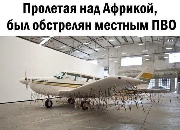 Картинки разные 12.06.2022