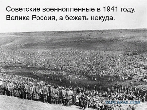 Более 800 украинских солдат сдались в плен под Лисичанском