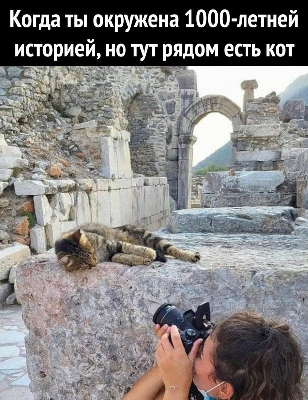 Картинки и мемы для настроения - 03