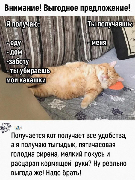 25-летние девушки