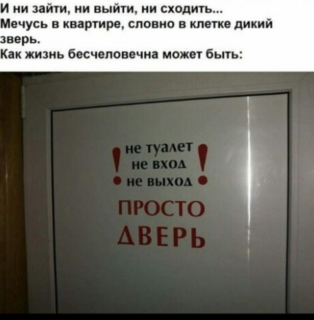 Картинки и мемы. Выходные близко...