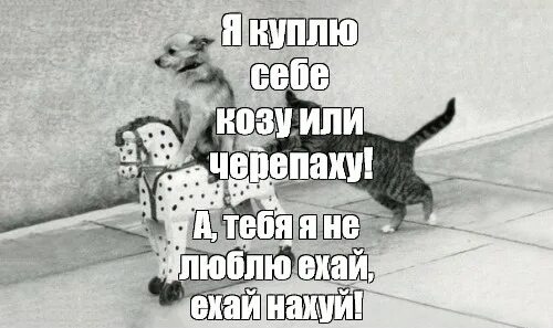 Благодарю друзья за поздравления! (Пашкетт)