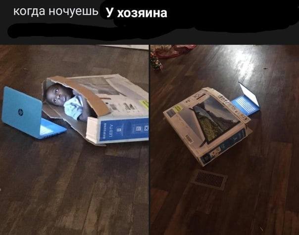 Народная меДИЧина 5023