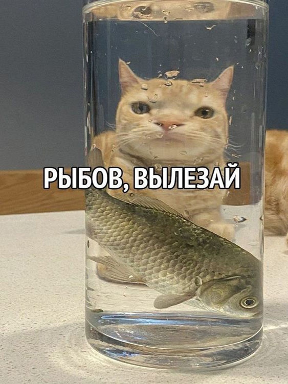 Так себе картинки 28.01.23