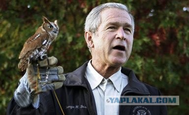 У гроба Папы Иоанна Павла II