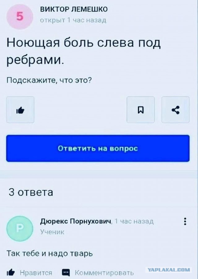 Всего понемногу. Выпуск от 13.03.