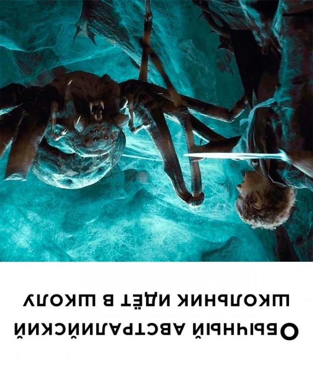 Немного картинок для настроения - 155