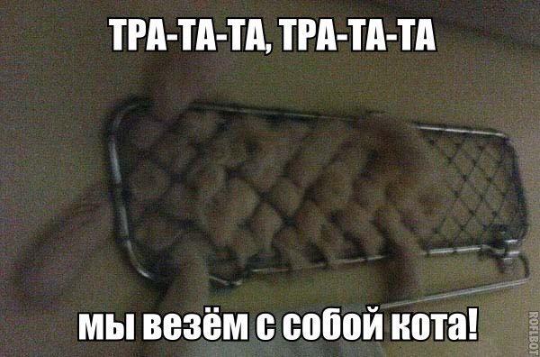 На поезде с кошариком