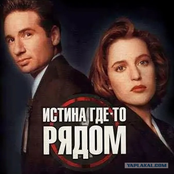 В Госдуме рассказали о желании многих россиян заблокировать YouTube