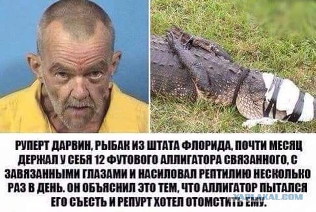 Геннадий здорового человека
