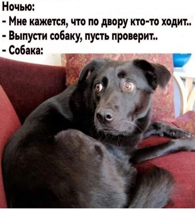 Заключительные баяны на этой неделе