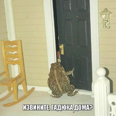 В поисках внеземной жизни