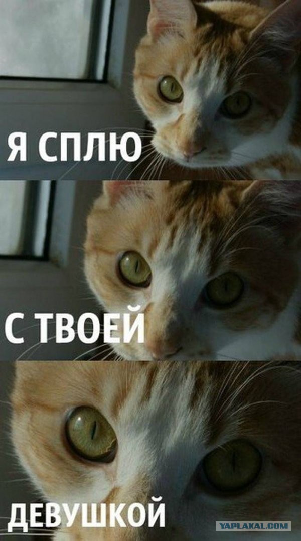 Воплощение зла