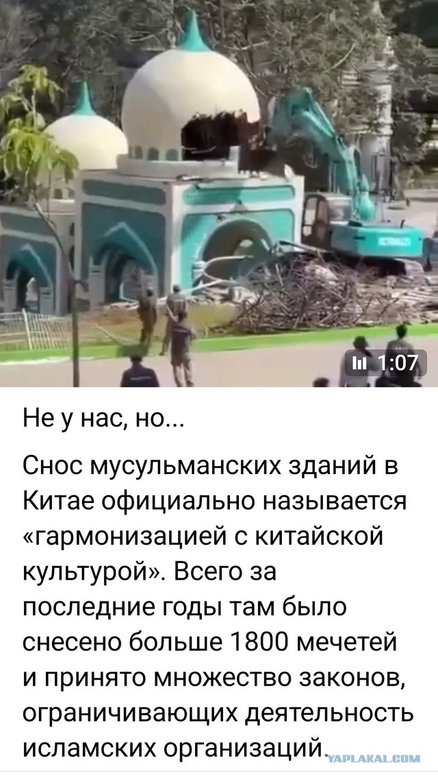 Во Владивостоке незаменимый иностранный специалист водитель автобуса остановил транспорт и начал совершать перед ним религиозный обряд.