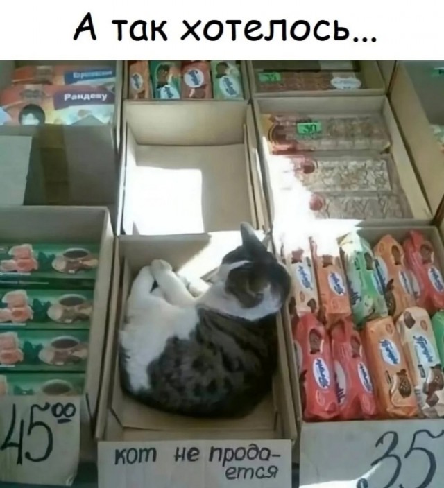 Так себе картинки 28.03.25