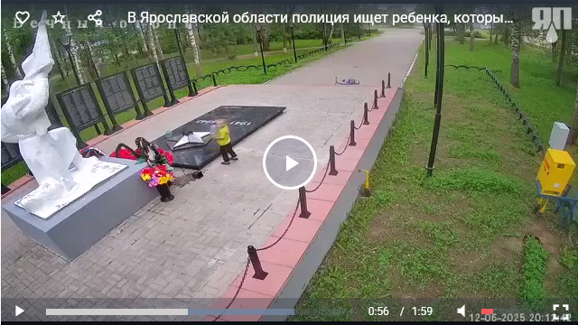 В Ярославской области полиция ищет ребенка, который залил Вечный огонь в День России
