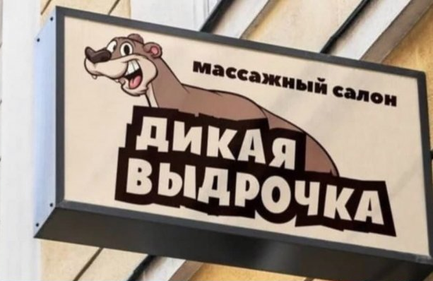 Выдры, обстановка