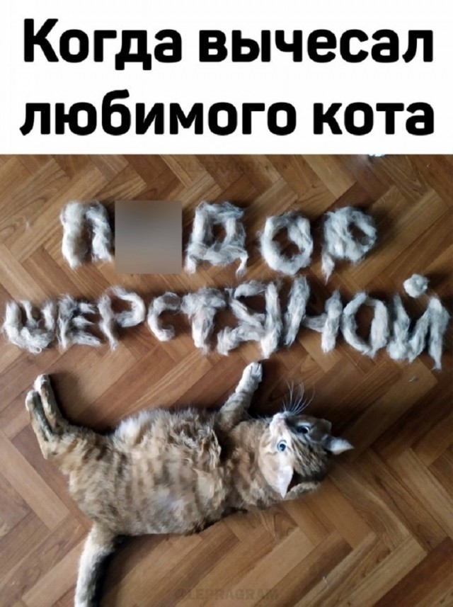 Так себе картинки 03.08.25