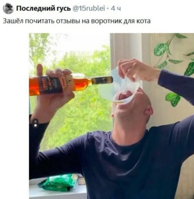 Картиночки, баянчики 18 февраля