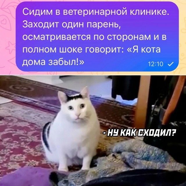 Картиночки, баянчики 23 февраля