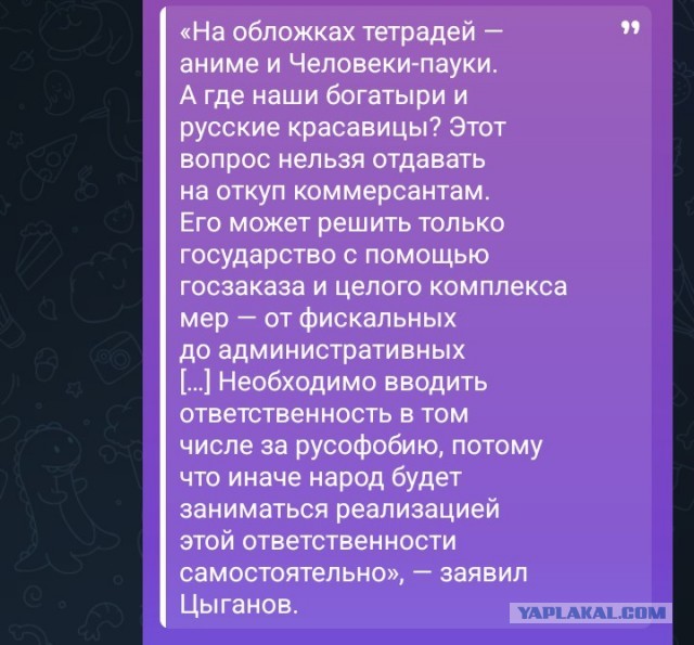 РКН хочет запретить аниме и супергероев на школьных тетрадях — штрафы за отказ