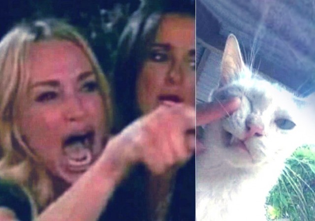 Картиночки, баянчики 01 марта