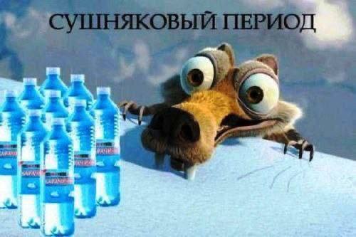 Картинки для деградации 175 (разной степени свежести)