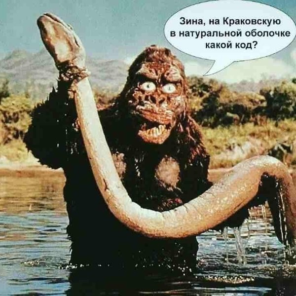 Картинки для деградации 198 (разной степени свежести)