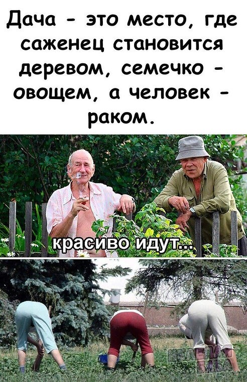Картинки для настроения