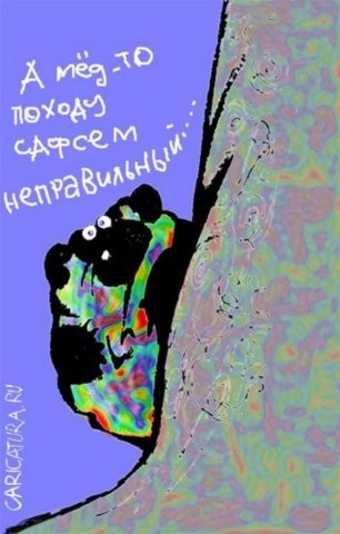 У Вини днюха