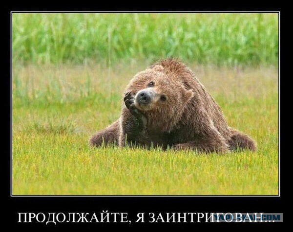 Украина, это где? "The Colbert Report"